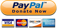 Donate Button with Credit Cards
